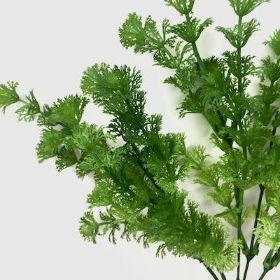 Green Conifer Stem 58cm