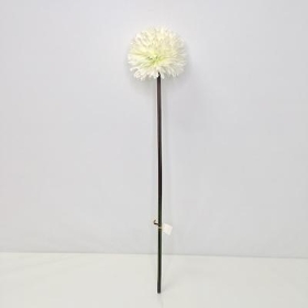 Ivory Pom Pom Allium 64cm