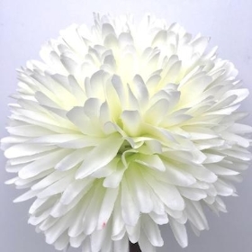 Ivory Pom Pom Allium 64cm