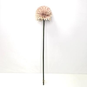 Cream Nude Pom Pom Allium 64cm