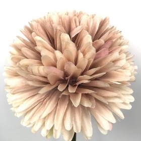 Cream Nude Pom Pom Allium 64cm