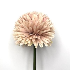 Cream Nude Pom Pom Allium 64cm