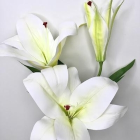 Ivory Lily Stem 80cm