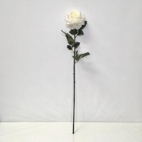 Ivory Rose 85cm