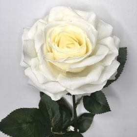 Ivory Rose 85cm