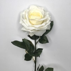 Ivory Rose 85cm