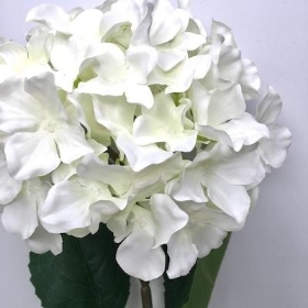 Ivory Hydrangea 53cm