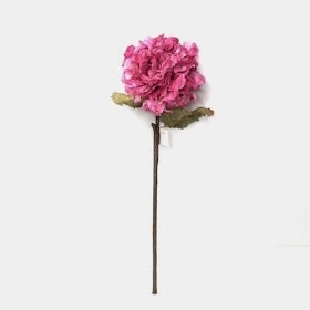 Hot Pink Dried Hydrangea 52cm