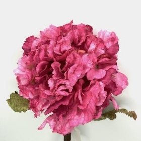 Hot Pink Dried Hydrangea 52cm