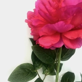 Hot Pink Peony 70cm