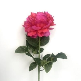 Hot Pink Peony 70cm