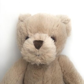 Bartley Bear 22cm