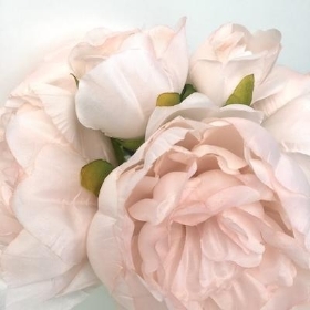 Nude Peony Bundle 28cm