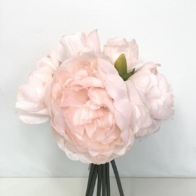 Nude Peony Bundle 28cm