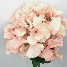 Pink Champagne Hydrangea 54cm