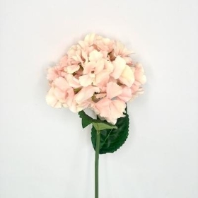 Pink Champagne Hydrangea 54cm