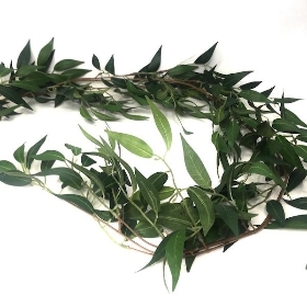 Green Ruscus Garland 180cm