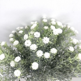 White Frosted Gyp Bundle 30cm