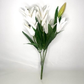 White Lily Bush 50cm