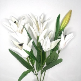 White Lily Bush 50cm