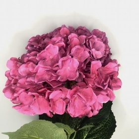 Fuchsia Hydrangea 90cm