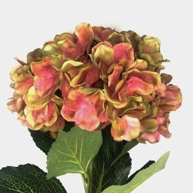 Green Pink Hydrangea 90cm