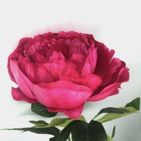 Fuchsia Pink Peony 63cm