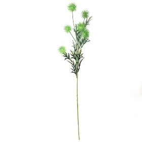 Green Pom Pom Thistle 80cm