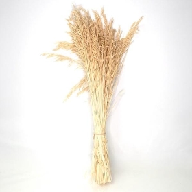 Natural Dried Bleached Oats 70cm