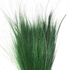 Dried Green Barba Grass 66cm