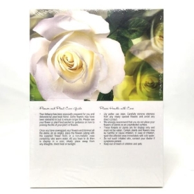 White Rose Folding Card x 25