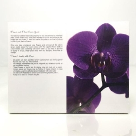 Purple Orchid Folding Card x 25