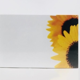 Sunflower Small Florist Cards x 50