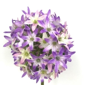 Lilac Allium 61cm