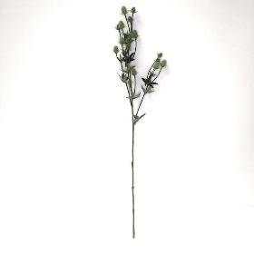 Green Thistle Spray 80cm