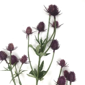 Purple Thistle Spray 80cm