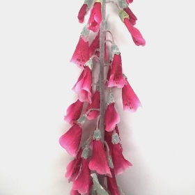 Cerise Foxglove 120cm