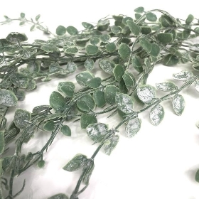 Green Frosted Trailing Mini Eucalyptus 90cm