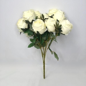 Ivory Peony Rose Bush 50cm