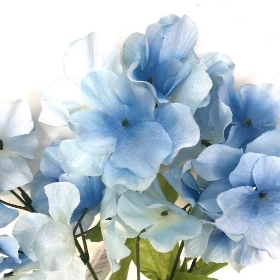 Blue Hydrangea Bush 35cm