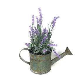 Lilac Lavender in Watering Can 26cm
