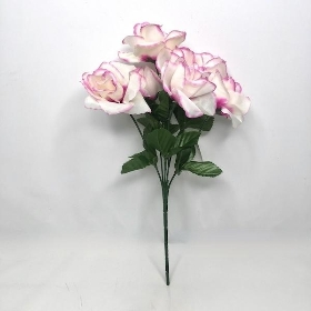 White And Pink Garden Rose Bush 33cm