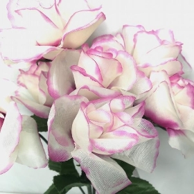 White And Pink Garden Rose Bush 33cm