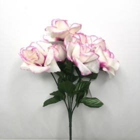 White And Pink Garden Rose Bush 33cm