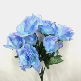 Pale Blue Garden Rose Bush 33cm