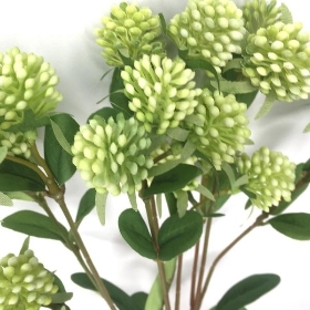 Ivory Gomphrena 46cm