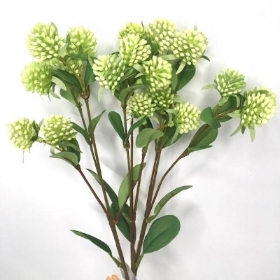 Ivory Gomphrena 46cm