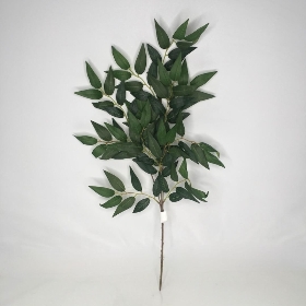 Ruscus Stem 65cm