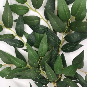 Ruscus Stem 65cm