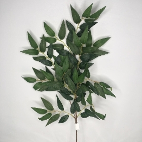 Ruscus Stem 65cm